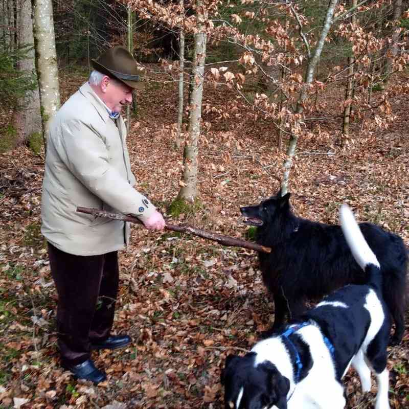 weilheim hardt spaziergang 2.JPG